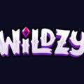 Wildzy casino avis